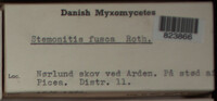 Image Associated With the Occurence